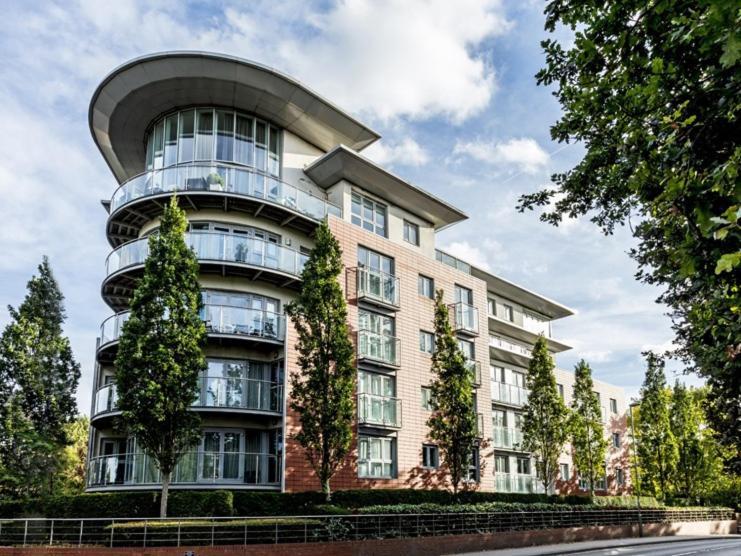 The Cedar Suite Woking Exteriér fotografie